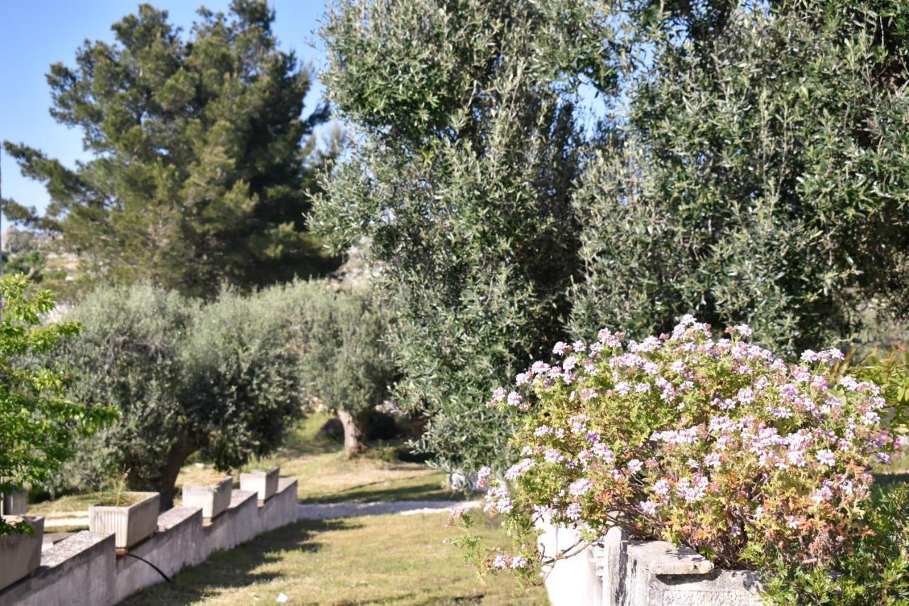 Hotel Terre D'Amore - For Couples Ostuni Exteriér fotografie