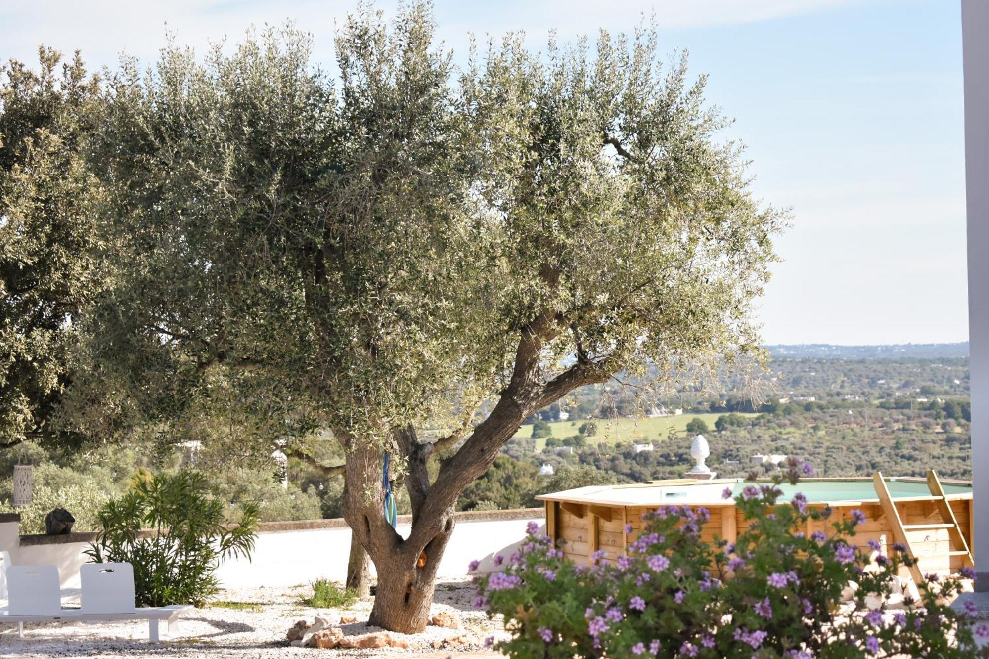 Hotel Terre D'Amore - For Couples Ostuni Exteriér fotografie